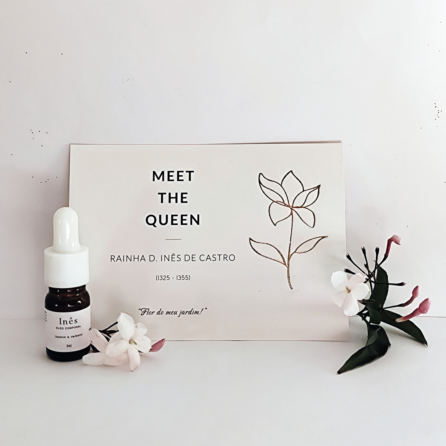 Small Set 1 - Meet the Queen Inês