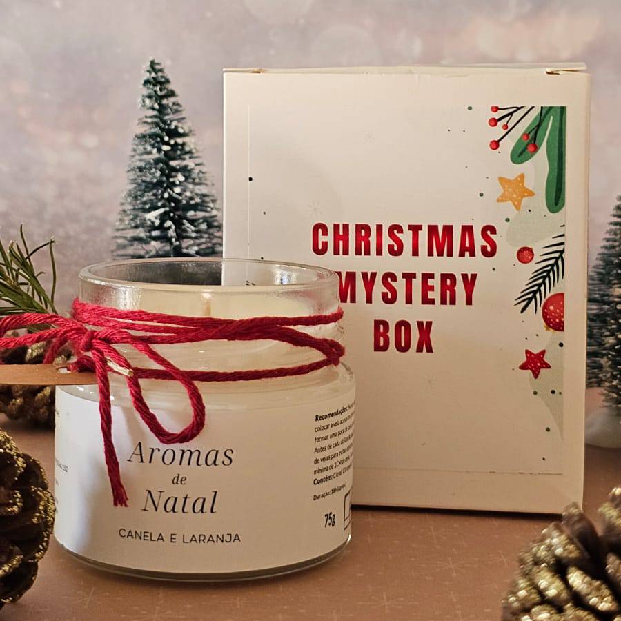 Christmas Mystery Box